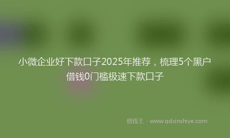 小微企业好下款口子2025年推荐，梳理5个黑户借钱0门槛极速下款口子