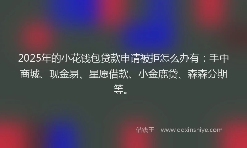 2025年的小花钱包贷款申请被拒怎么办有：手中商城、现金易、星愿借款、小金鹿贷、森森分期等。