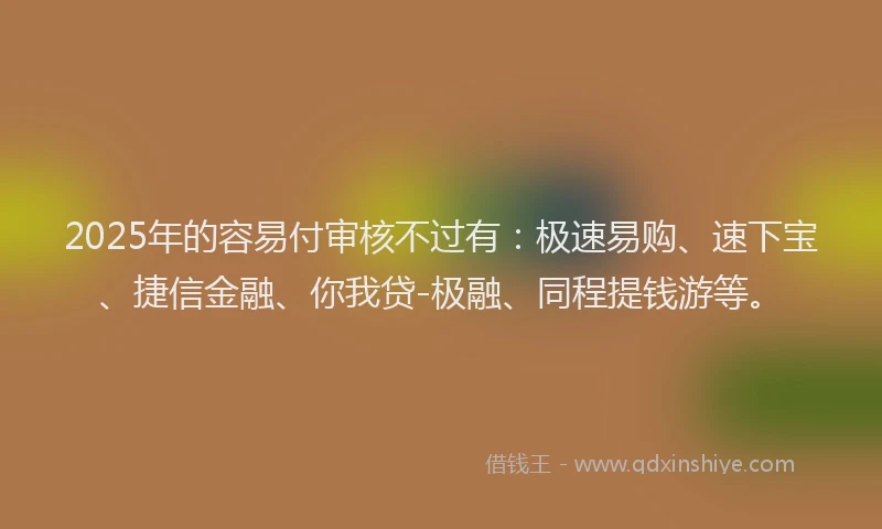 2025年的容易付审核不过有：极速易购、速下宝、捷信金融、你我贷-极融、同程提钱游等。