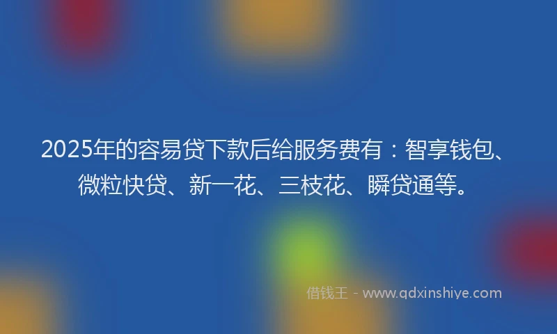 2025年的容易贷下款后给服务费有：智享钱包、微粒快贷、新一花、三枝花、瞬贷通等。