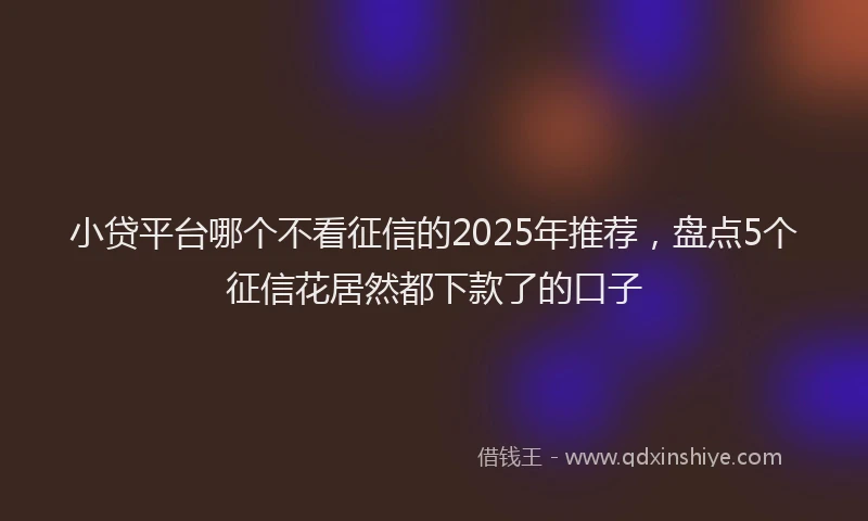 小贷平台哪个不看征信的2025年推荐，盘点5个征信花居然都下款了的口子
