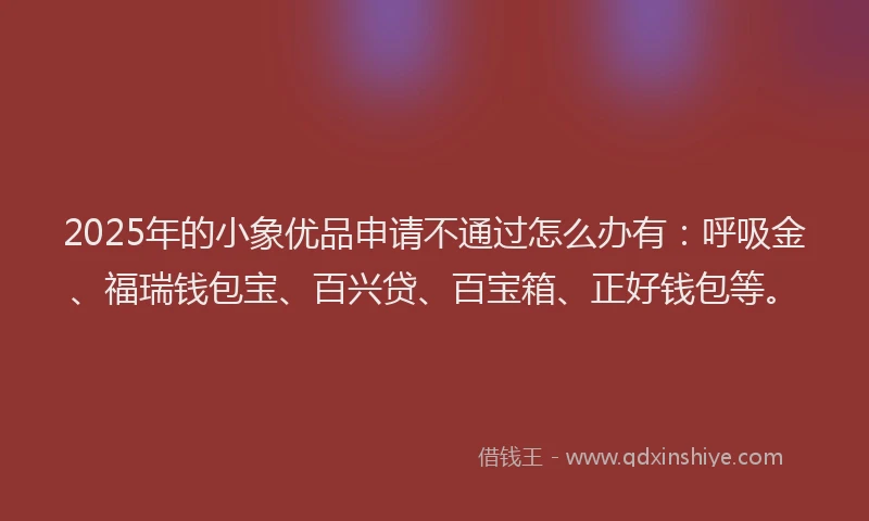 2025年的小象优品申请不通过怎么办有：呼吸金、福瑞钱包宝、百兴贷、百宝箱、正好钱包等。