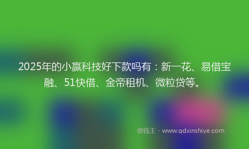 2025年的小赢科技好下款吗有：新一花、易借宝融、51快借、金帝租机、微粒贷等。