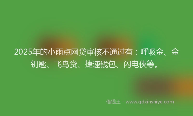 2025年的小雨点网贷审核不通过有：呼吸金、金钥匙、飞鸟贷、捷速钱包、闪电侠等。