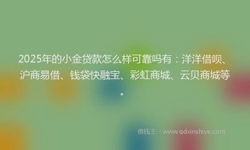 2025年的小金贷款怎么样可靠吗有：洋洋借呗、沪商易借、钱袋快融宝、彩虹商城、云贝商城等。