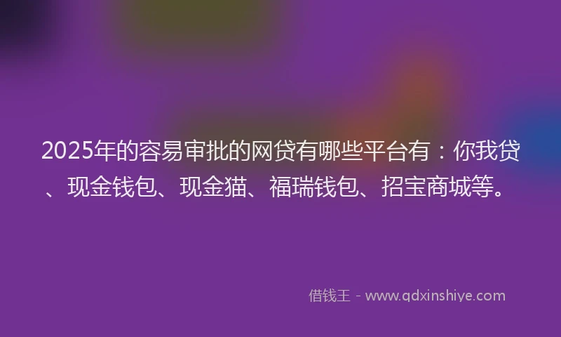 2025年的容易审批的网贷有哪些平台有：你我贷、现金钱包、现金猫、福瑞钱包、招宝商城等。