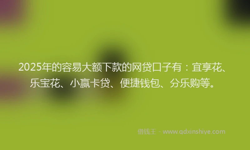 2025年的容易大额下款的网贷口子有：宜享花、乐宝花、小赢卡贷、便捷钱包、分乐购等。
