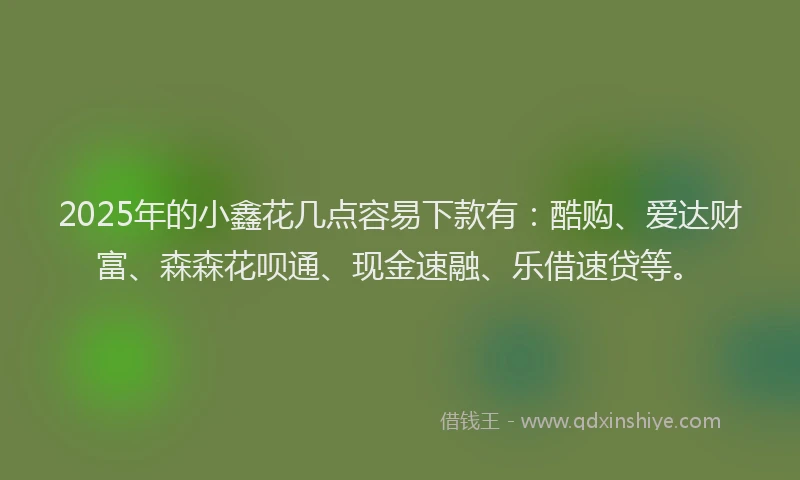 2025年的小鑫花几点容易下款有：酷购、爱达财富、森森花呗通、现金速融、乐借速贷等。