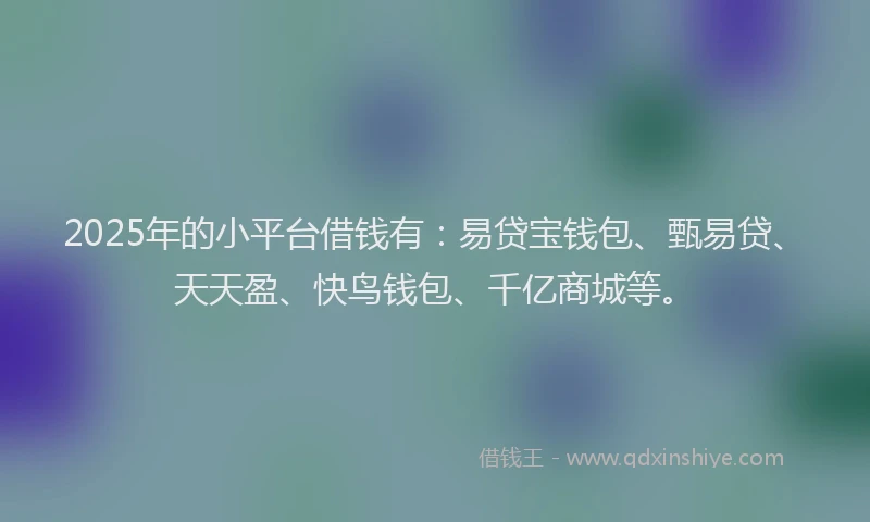 2025年的小平台借钱有：易贷宝钱包、甄易贷、天天盈、快鸟钱包、千亿商城等。
