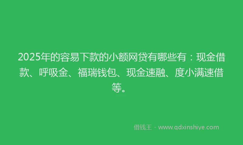 2025年的容易下款的小额网贷有哪些有：现金借款、呼吸金、福瑞钱包、现金速融、度小满速借等。