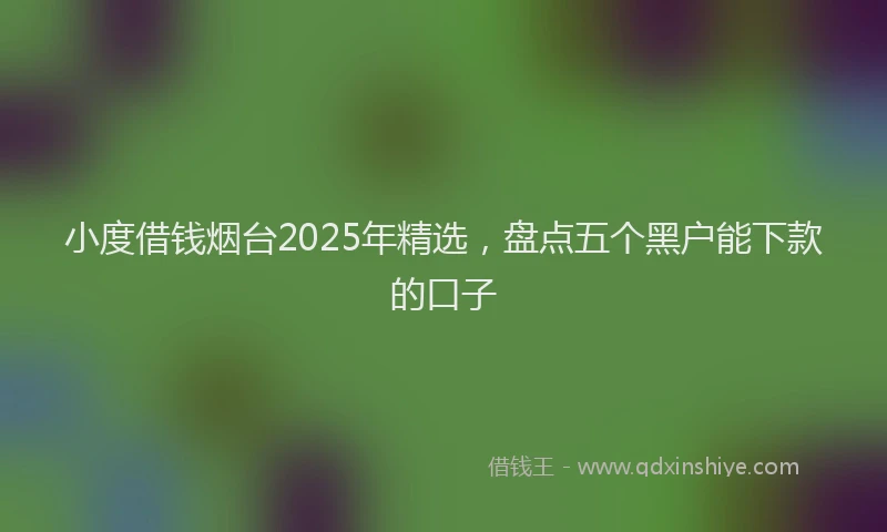 小度借钱烟台2025年精选，盘点五个黑户能下款的口子