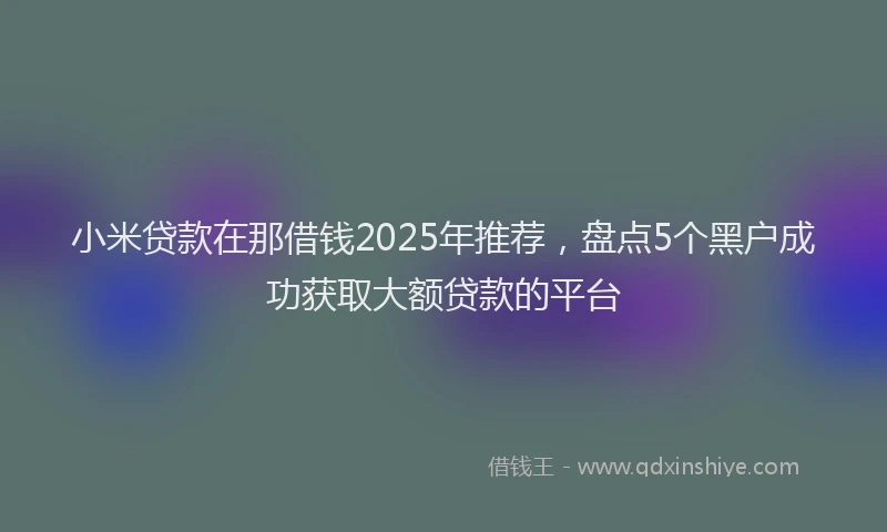小米贷款在那借钱2025年推荐，盘点5个黑户成功获取大额贷款的平台