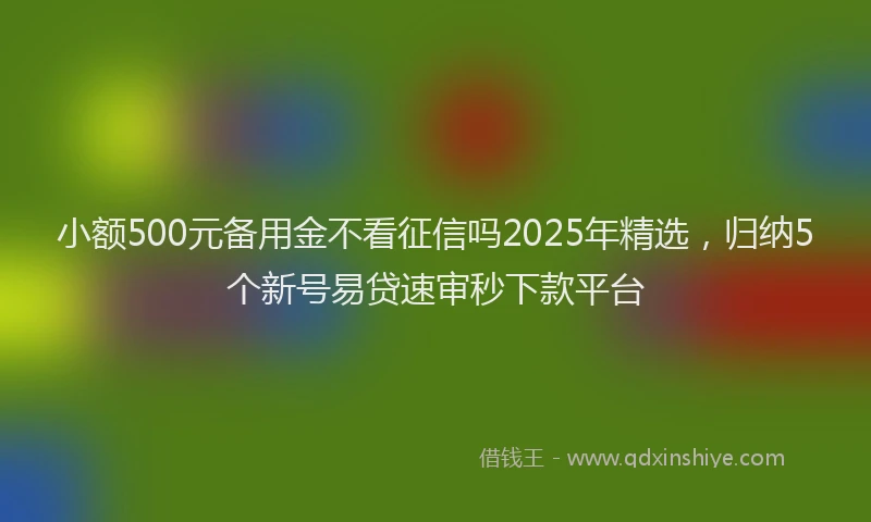 小额500元备用金不看征信吗2025年精选，归纳5个新号易贷速审秒下款平台