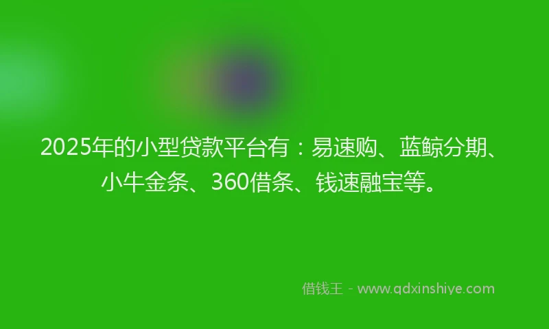 2025年的小型贷款平台有：易速购、蓝鲸分期、小牛金条、360借条、钱速融宝等。