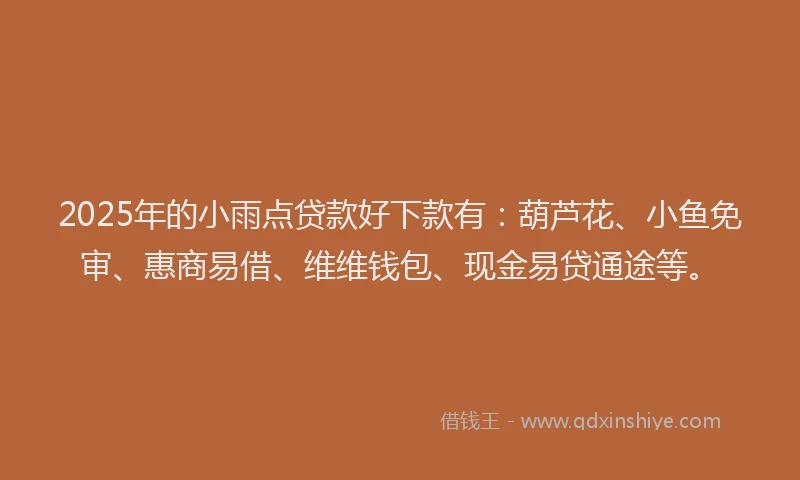 2025年的小雨点贷款好下款有：葫芦花、小鱼免审、惠商易借、维维钱包、现金易贷通途等。