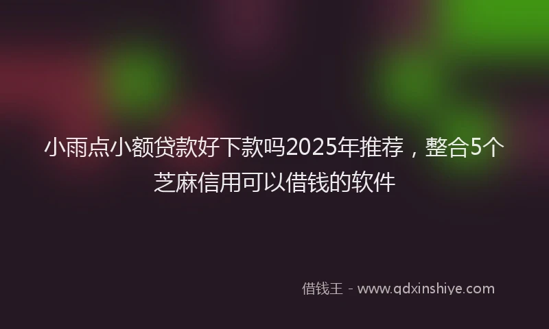 小雨点小额贷款好下款吗2025年推荐，整合5个芝麻信用可以借钱的软件