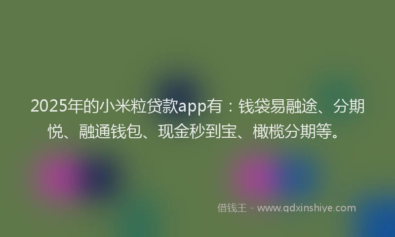 2025年的小米粒贷款app有：钱袋易融途、分期悦、融通钱包、现金秒到宝、橄榄分期等。