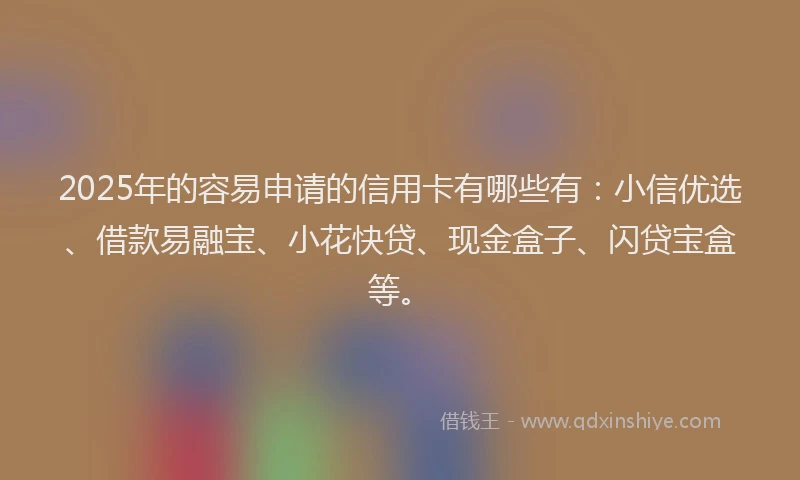 2025年的容易申请的信用卡有哪些有：小信优选、借款易融宝、小花快贷、现金盒子、闪贷宝盒等。