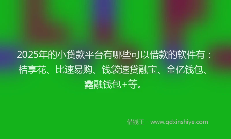 2025年的小贷款平台有哪些可以借款的软件有：桔享花、比速易购、钱袋速贷融宝、金亿钱包、鑫融钱包+等。