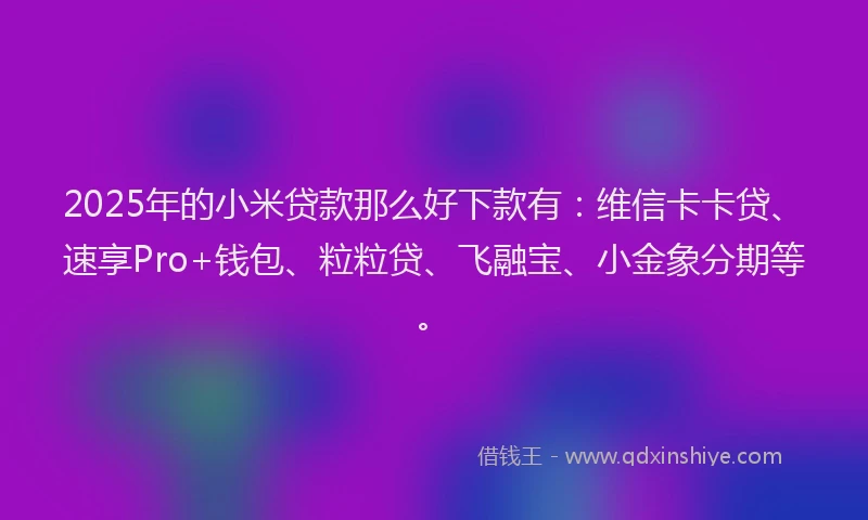 2025年的小米贷款那么好下款有：维信卡卡贷、速享Pro+钱包、粒粒贷、飞融宝、小金象分期等。