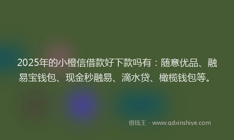 2025年的小橙信借款好下款吗有：随意优品、融易宝钱包、现金秒融易、滴水贷、橄榄钱包等。