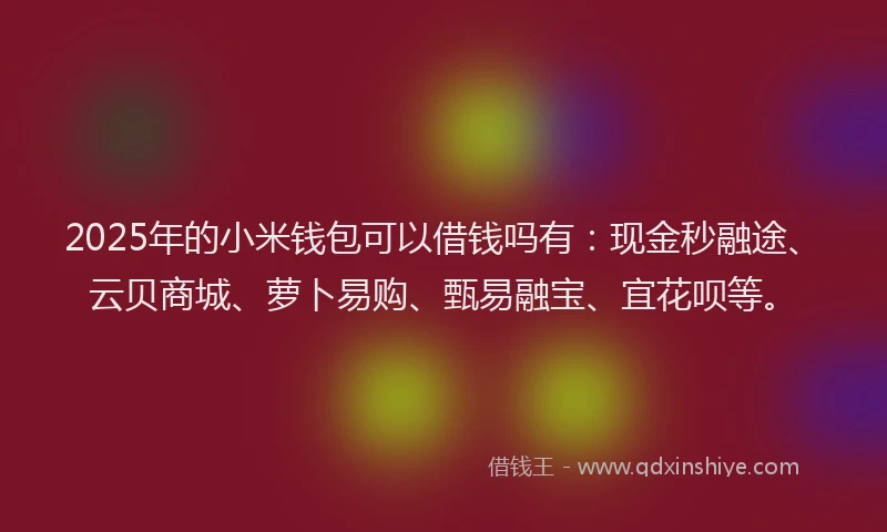 2025年的小米钱包可以借钱吗有：现金秒融途、云贝商城、萝卜易购、甄易融宝、宜花呗等。