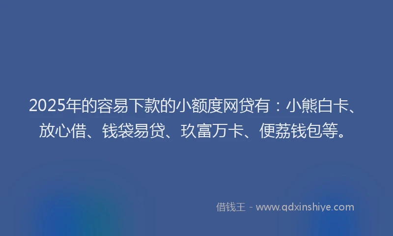 2025年的容易下款的小额度网贷有：小熊白卡、放心借、钱袋易贷、玖富万卡、便荔钱包等。