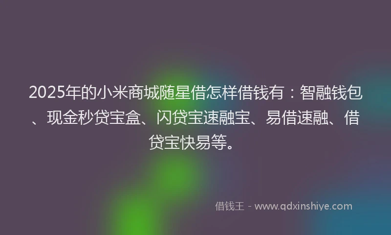 2025年的小米商城随星借怎样借钱有：智融钱包、现金秒贷宝盒、闪贷宝速融宝、易借速融、借贷宝快易等。