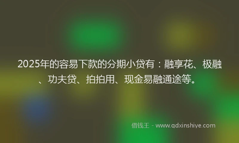 2025年的容易下款的分期小贷有：融享花、极融、功夫贷、拍拍用、现金易融通途等。
