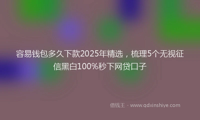 容易钱包多久下款2025年精选，梳理5个无视征信黑白100%秒下网贷口子