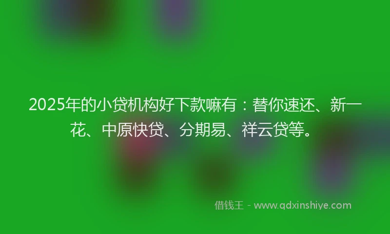 2025年的小贷机构好下款嘛有：替你速还、新一花、中原快贷、分期易、祥云贷等。