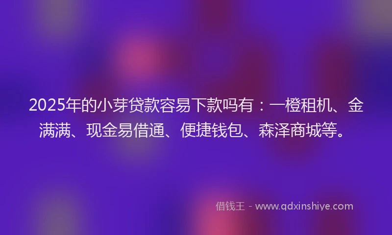 2025年的小芽贷款容易下款吗有：一橙租机、金满满、现金易借通、便捷钱包、森泽商城等。