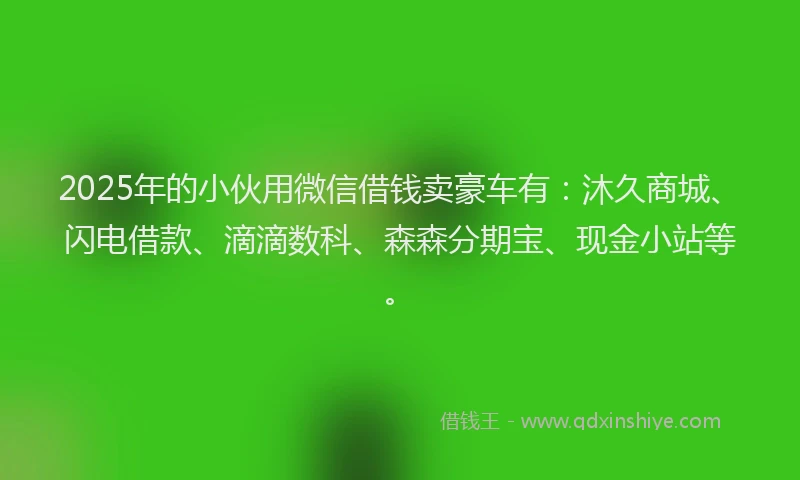 2025年的小伙用微信借钱卖豪车有：沐久商城、闪电借款、滴滴数科、森森分期宝、现金小站等。