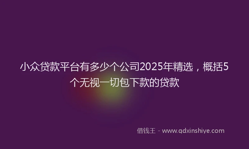 小众贷款平台有多少个公司2025年精选，概括5个无视一切包下款的贷款
