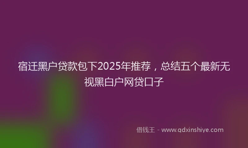 宿迁黑户贷款包下2025年推荐，总结五个最新无视黑白户网贷口子