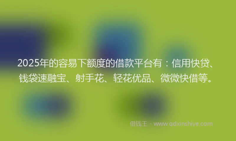 2025年的容易下额度的借款平台有：信用快贷、钱袋速融宝、射手花、轻花优品、微微快借等。