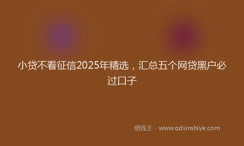 小贷不看征信2025年精选，汇总五个网贷黑户必过口子