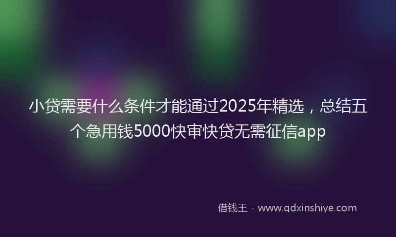 小贷需要什么条件才能通过2025年精选，总结五个急用钱5000快审快贷无需征信app