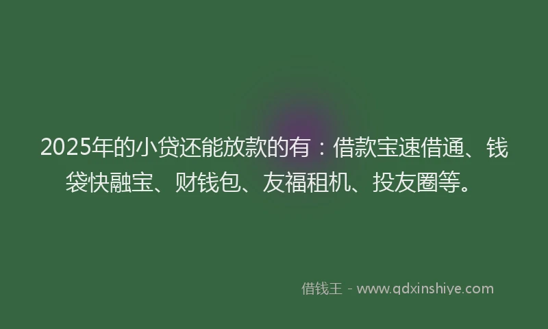2025年的小贷还能放款的有：借款宝速借通、钱袋快融宝、财钱包、友福租机、投友圈等。