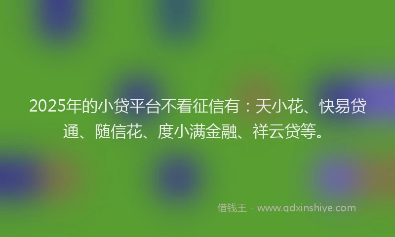 2025年的小贷平台不看征信有：天小花、快易贷通、随信花、度小满金融、祥云贷等。