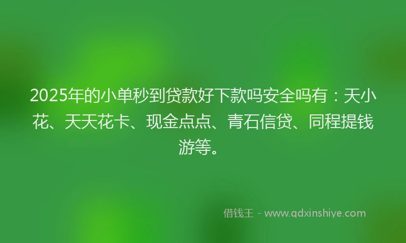 2025年的小单秒到贷款好下款吗安全吗有：天小花、天天花卡、现金点点、青石信贷、同程提钱游等。