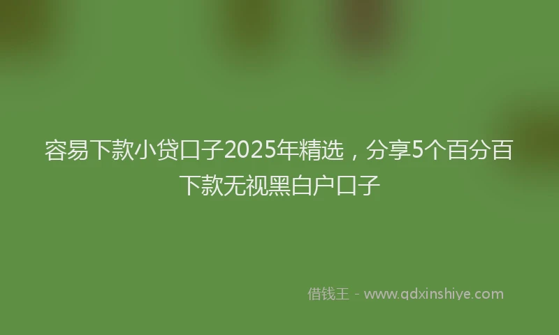 容易下款小贷口子2025年精选，分享5个百分百下款无视黑白户口子