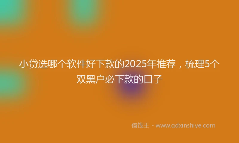 小贷选哪个软件好下款的2025年推荐，梳理5个双黑户必下款的口子