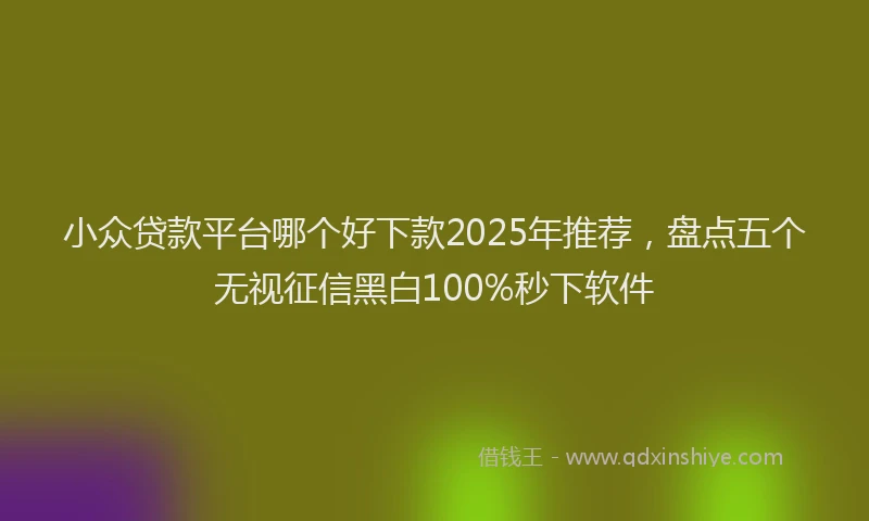 小众贷款平台哪个好下款2025年推荐，盘点五个无视征信黑白100%秒下软件