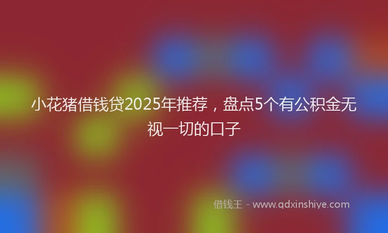 小花猪借钱贷2025年推荐，盘点5个有公积金无视一切的口子
