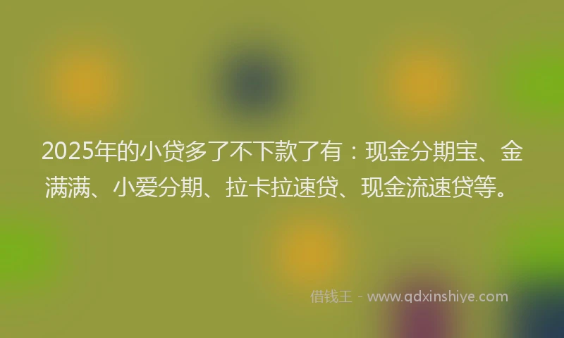 2025年的小贷多了不下款了有：现金分期宝、金满满、小爱分期、拉卡拉速贷、现金流速贷等。