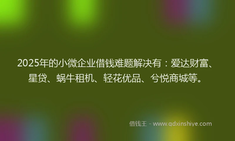 2025年的小微企业借钱难题解决有：爱达财富、星贷、蜗牛租机、轻花优品、兮悦商城等。