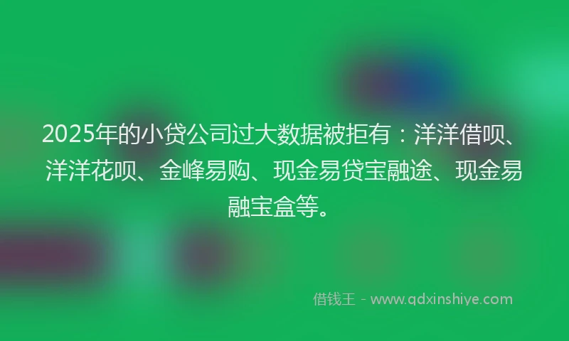 2025年的小贷公司过大数据被拒有：洋洋借呗、洋洋花呗、金峰易购、现金易贷宝融途、现金易融宝盒等。