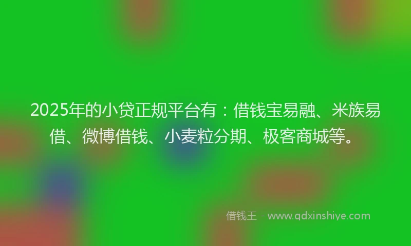 2025年的小贷正规平台有：借钱宝易融、米族易借、微博借钱、小麦粒分期、极客商城等。