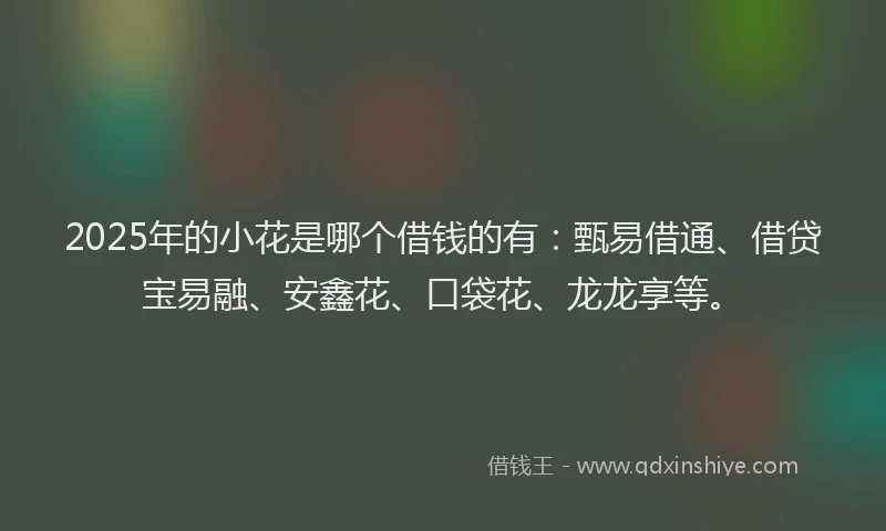 2025年的小花是哪个借钱的有：甄易借通、借贷宝易融、安鑫花、口袋花、龙龙享等。